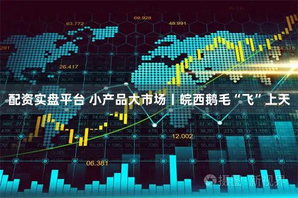 配资实盘平台 小产品大市场丨皖西鹅毛“飞”上天